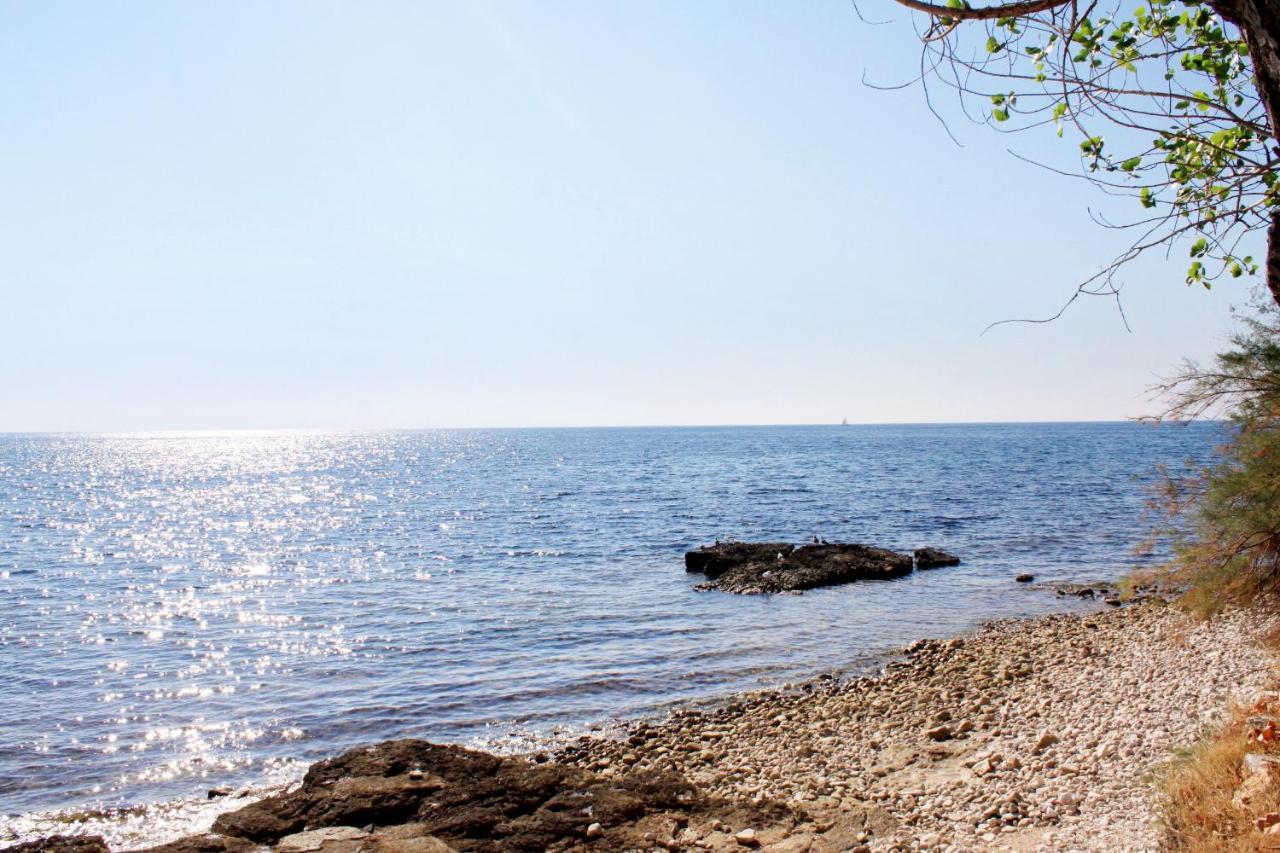 Holiday House With A Parking Space Babici, Umag - 13795 المظهر الخارجي الصورة